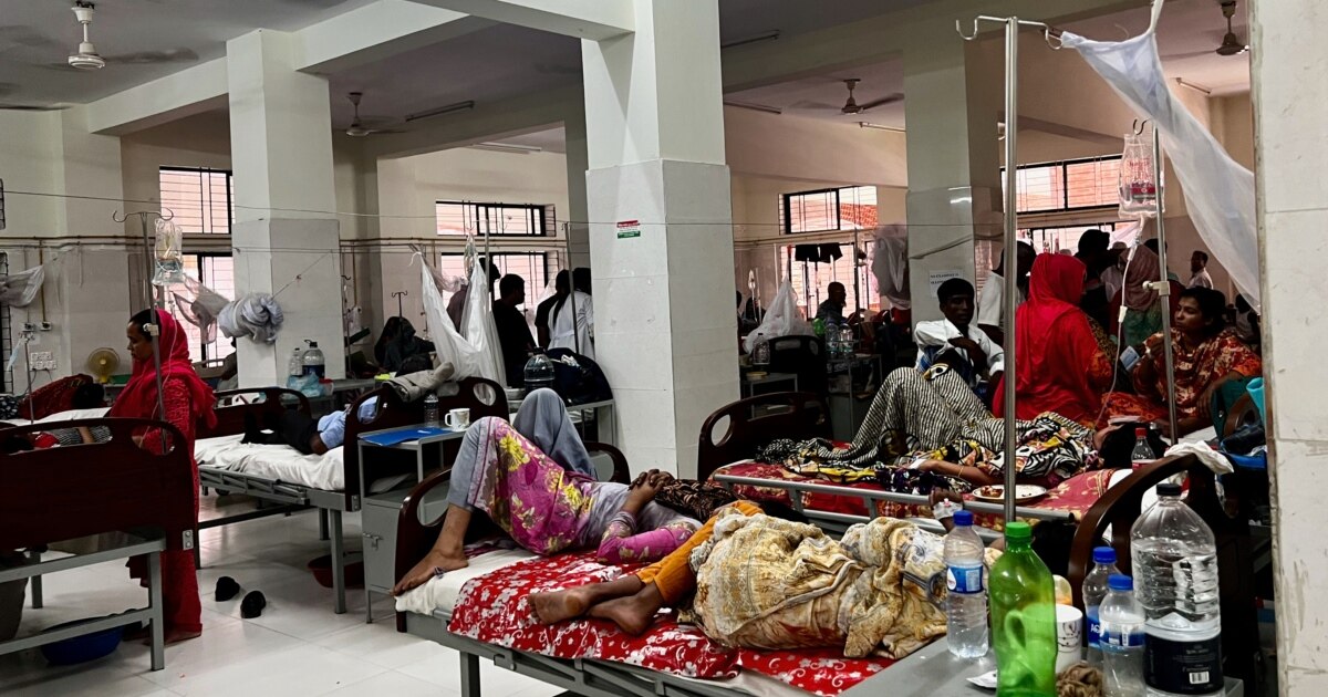 Surge in Dengue Fever Hits Bangladesh