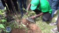 Yadda Batun Kula Da Muhalli Ya Zama Jigo A Bikin Ranar Matasa ta Duniya A Jihar Filato
