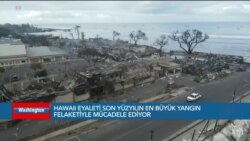 Hawaii’de bilanço artıyor