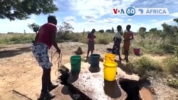 Manchetes africanas: Zimbabwe - Seca deixa  2,7 milhões de pessoas sob ameaça fome 