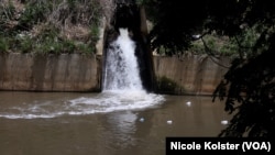 Plásticos flotan en el muy contaminado río Guaire, que atraviesa Caracas