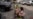 Children wait near the site of Okhmatdyt children’s hospital hit by Russian missiles, in Kyiv, Ukraine, Monday, July 8, 2024