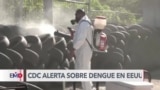 CDC alerta sobre un mayor riesgo de contagio de dengue en Estados Unidos 