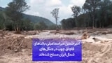 امیرحسین میراسماعیلی: باندهای قاچاق چوب در جنگل‌های شمال ایران مسلح شده‌اند