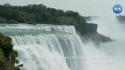Amerikaga sayohat: Niagara sharsharasi
