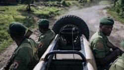 Sango ya Mokili Lelo: Ba Maï Maï babomi lisusu babateli babale ya parc Virunga 