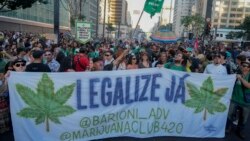 Brasil: Supremo Tribunal aprueba despenalizar posesión de marihuana para uso personal