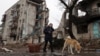 A woman walks her dog past her residential building destroyed as a result of shelling earlier in the war in the town of Izyum, in Ukraine's Kharkiv region, Feb. 26, 2023.