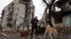 Latest Developments in Ukraine: Feb. 26