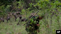 ARCHIVO - En esta fotografía de archivo del 20 de octubre de 2016, soldados usan machetes para talar plantas de coca en una plantación ilegal de coca durante un viaje de prensa organizado por el gobierno a la comunidad Urkupina de Chapare, Bolivia.