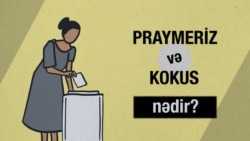 Praymeriz və kokus arasındakı fərq nədir?