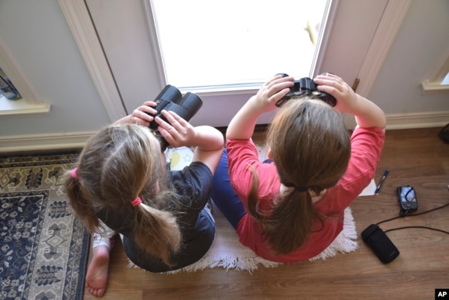 This image provided by Macaulay Library/Cornell Lab of Ornithology shows two girls watching birds through a window with binoculars, bird lists and cameras in Elm Grove, Louisiana, during the Great Backyard Bird Count in February 2022. About 385,000 people from 192 countries took part in the 2022 count, and their results have been used by scientists to study bird populations worldwide. (Emily Tubbs/Macaulay Library/Cornell Lab of Ornithology via AP)