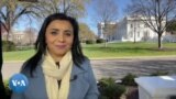 Oq uydan jonli efir: O'zbekistonda referendum, Qozog'istonda saylov 