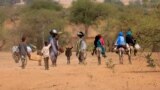 Sudanese families fleeing the conflict in Sudan's Darfur region, make their way through the desert after they crossed the border between Sudan and Chad to seek refuge in Goungour, Chad May 12, 2023.