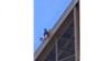 In this photo provided by Nickey Worlock, a man climbs the Eiffel Tower, during the 2024 Summer Olympics, Aug. 11, 2024, in Paris France.