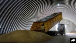 FILE - A dump track unloads grain in a granary in the village of Zghurivka, Ukraine, on Aug. 9, 2022. 