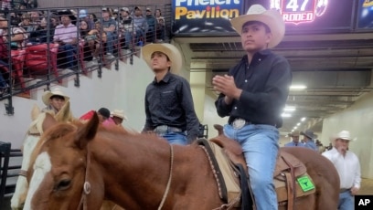 Enduring Relationship With Horses Aids Popularity of Rodeo in