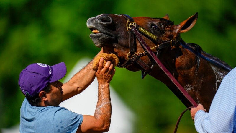 Kentucky Derby winner scheduled to race 7 other horses in Preakness Stakes