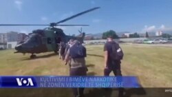 Veriu i Shqipërisë, zona ku është më i përhapur fenomeni i kultivimit të bimëve narkotike