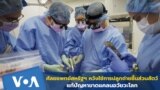 Thumbnail NYU Surgeon Seeks to Aid Global Organ Shortage with Animal Transplants