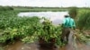 UN Report: Invasive Species Costs Global Economy $423 BLN Per Year