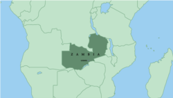 Former Opposition Member to Sue Zambia's Government