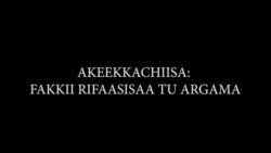 Hamaas Yaada Dhukaasa Dhaabinsaa Fudhateyyuu Gaaffii Ijoo Dhiheesseef Deebii Akka Eegaa Jiru Ibse