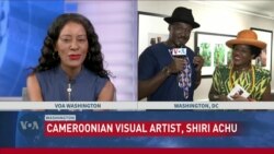 Cameroonian visual artist holds exhibit in Washington, DC