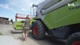 Украински и полски фармери повикуваат на решенија поради глобалната закана за безбедноста на храната