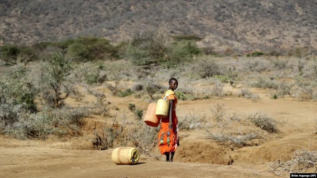 ARCHIVO- Una mujer samburu va a buscar agua durante una sequía el condado de Samburu, Kenia,el 16 de octubre de 2022. 