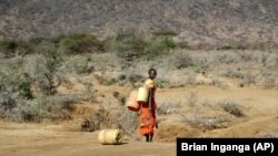 ARCHIVO- Una mujer samburu va a buscar agua durante una sequía el condado de Samburu, Kenia,el 16 de octubre de 2022. 