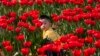Seorang anak bermain di sebuah ladang bunga tulip kota di Arese, dekat Milan, Italia. (AP)&nbsp;