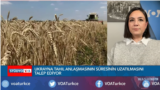 Ukrayna Tahıl Anlaşmasının Süresi Uzatılacak mı?