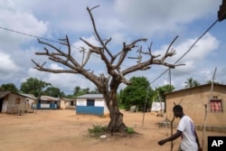 A man walks past a barren tree in his village of Kinkazi, which has been affected by oil drilling, outside Moanda, Democratic Republic of the Congo, Sunday, Dec. 24, 2023. The country is looking to expand the oil drilling. (AP Photo/Mosa'ab Elshamy)