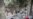 Gaza hospital officials say Israeli strike kills 5 in Rafah