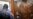 Russian Woman on Trial in Bombing That Killed Military Blogger
