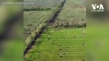 На розмінування України після війни може піти близько десяти років – експерти. Відео