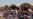 Netherlands, Belgium Join Probe into Crimes Against Yazidis in Iraq, Syria