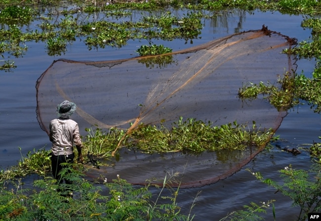 FILE - A man throws a fishing net into a lake in Kandal province, near Phnom Penh, Cambodia, Sept. 24, 2023. (Photo by TANG CHHIN Sothy / AFP)