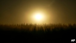 FILE - Dust fills the air as a combine harvests corn, Oct. 10, 2023, at a farm near Allerton, Ill.