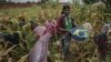 Wanawake wakiwa katika shamba la mahindi katika huko Mzuzu, Kaskazini mwa malawi Aprili 19, 2016. Picha na Amos Gumulira / AFP.