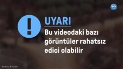 Batı Şeria’da maskeli bazı İsrailli yerleşimciler Filistinliler’e saldırdı 