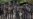 Nigeria holds youth summit on national security after protests