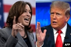 ABD Başkan Yardımcısı Kamala Harris ve Donald Trump