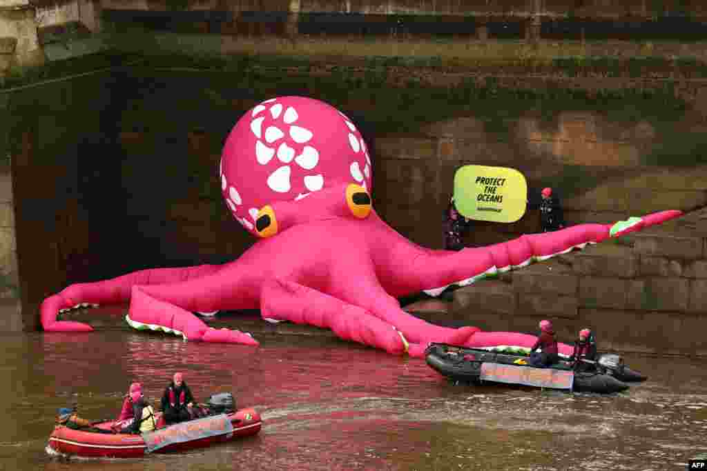 A giant inflatable octopus floats on the bank of the River Thames beneath Britain&#39;s Houses of Parliament, during an action called by environmental NGO Greenpeace as part of a campaign to protect the oceans, in central London. &nbsp;(Photo by HENRY NICHOLLS / AFP)