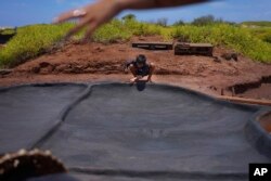 Kekanemekala Taniguchi, putra Tina Taniguchi, menghaluskan tanah liat hitam basah ke dinding lapisan garam di petak garam Hanapepe di Hanapepe, Hawaii, Rabu, 12 Juli 2023. (AP/Jessie Wardarski)