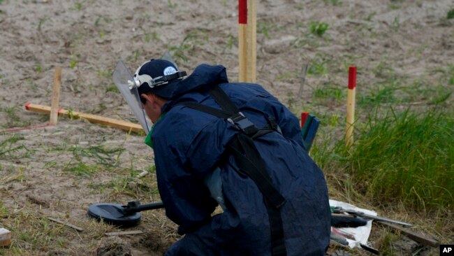 Un trabajador de detección de minas de la ONG de desminado HALO Trust busca minas terrestres antitanque y antipersonal en Lypivka, en las afueras de Kiev, Ucrania, el martes 14 de junio de 2022. (Foto AP/Natacha Pisarenko)