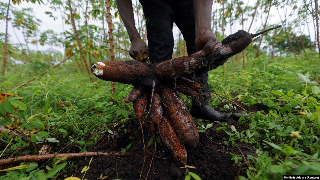 SUPPLY-CHAIN/UNILEVER-AFRICA