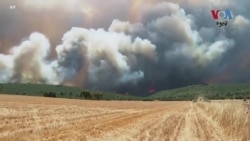  اقوام متحده: په نړۍ کې زیاتیدونکې تودوخه انساني صحت ته خطر دی