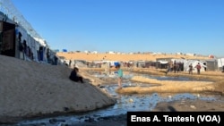 À Rafah, à la frontière entre la bande de Gaza et l'Égypte, les conditions de vie des réfugiés palestiniens se détériorent de jour en jour